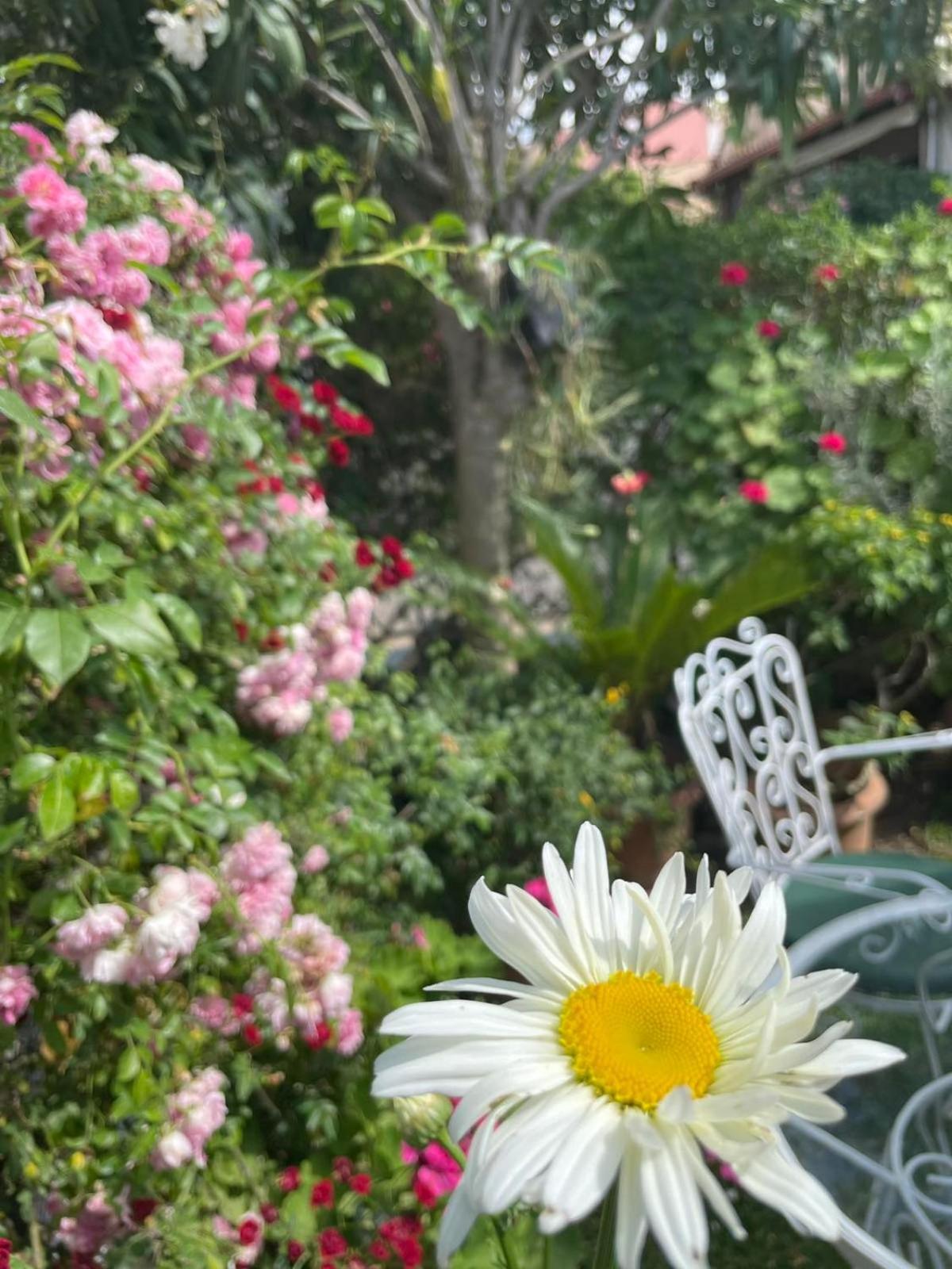 Villa Tina Country Beach Apartments Acharavi  Bilik gambar