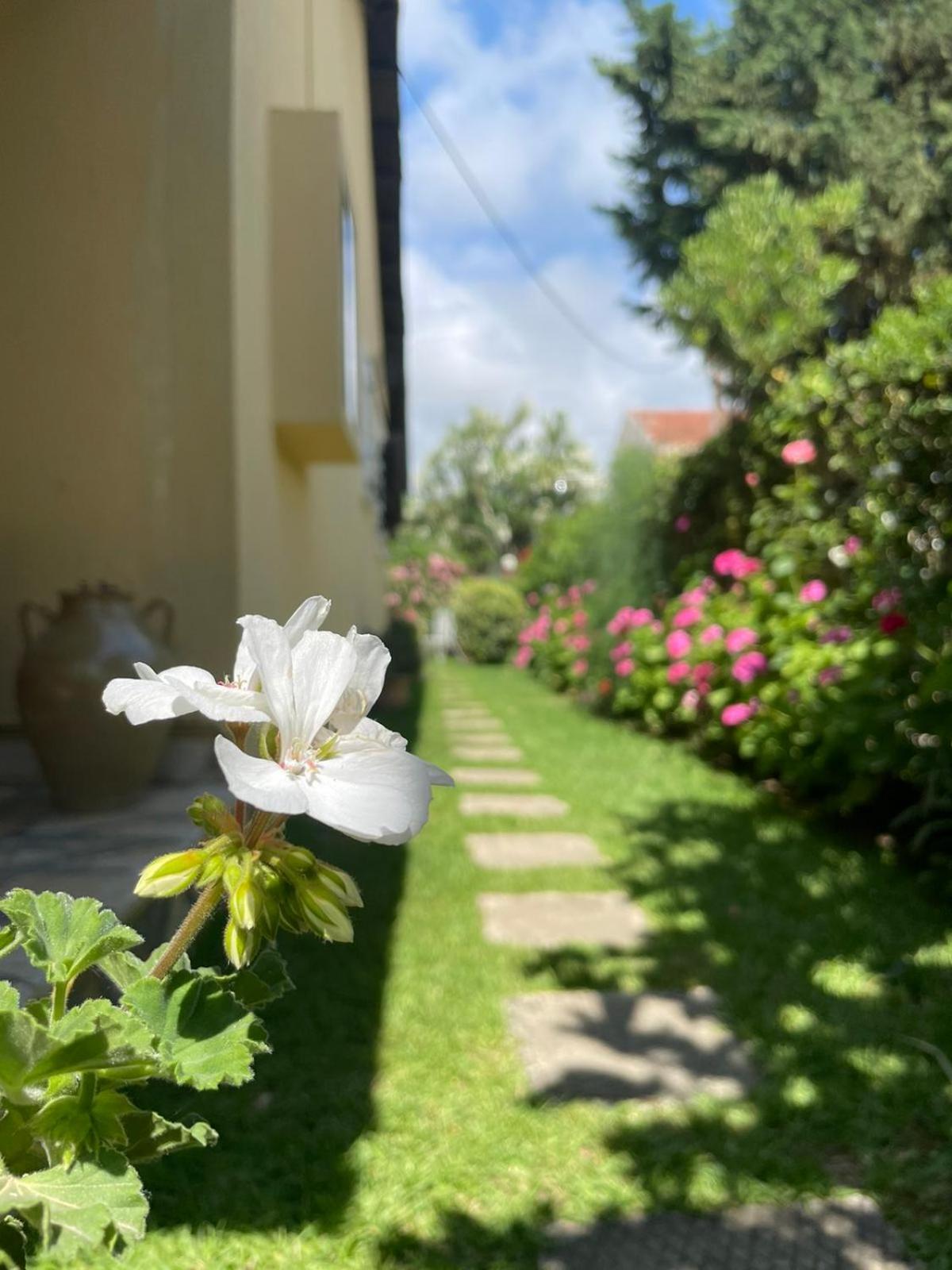 Villa Tina Country Beach Apartments Acharavi  Bilik gambar